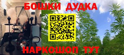 эйфоретик Бузулук